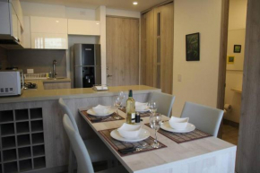 28 New Apt with incredible view of downtown BOG